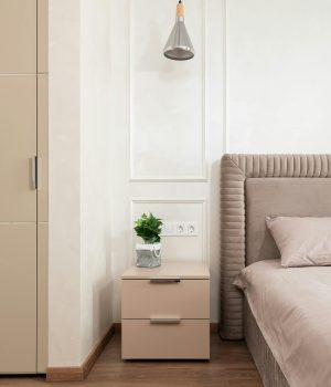 pexels-heyho-6636262